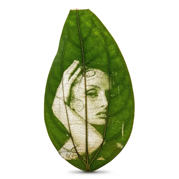Laser-Engraved Original Natural Leaf Art – Precision Photo Engraving on Chemically Preserved Peepal Leaf (Framed)